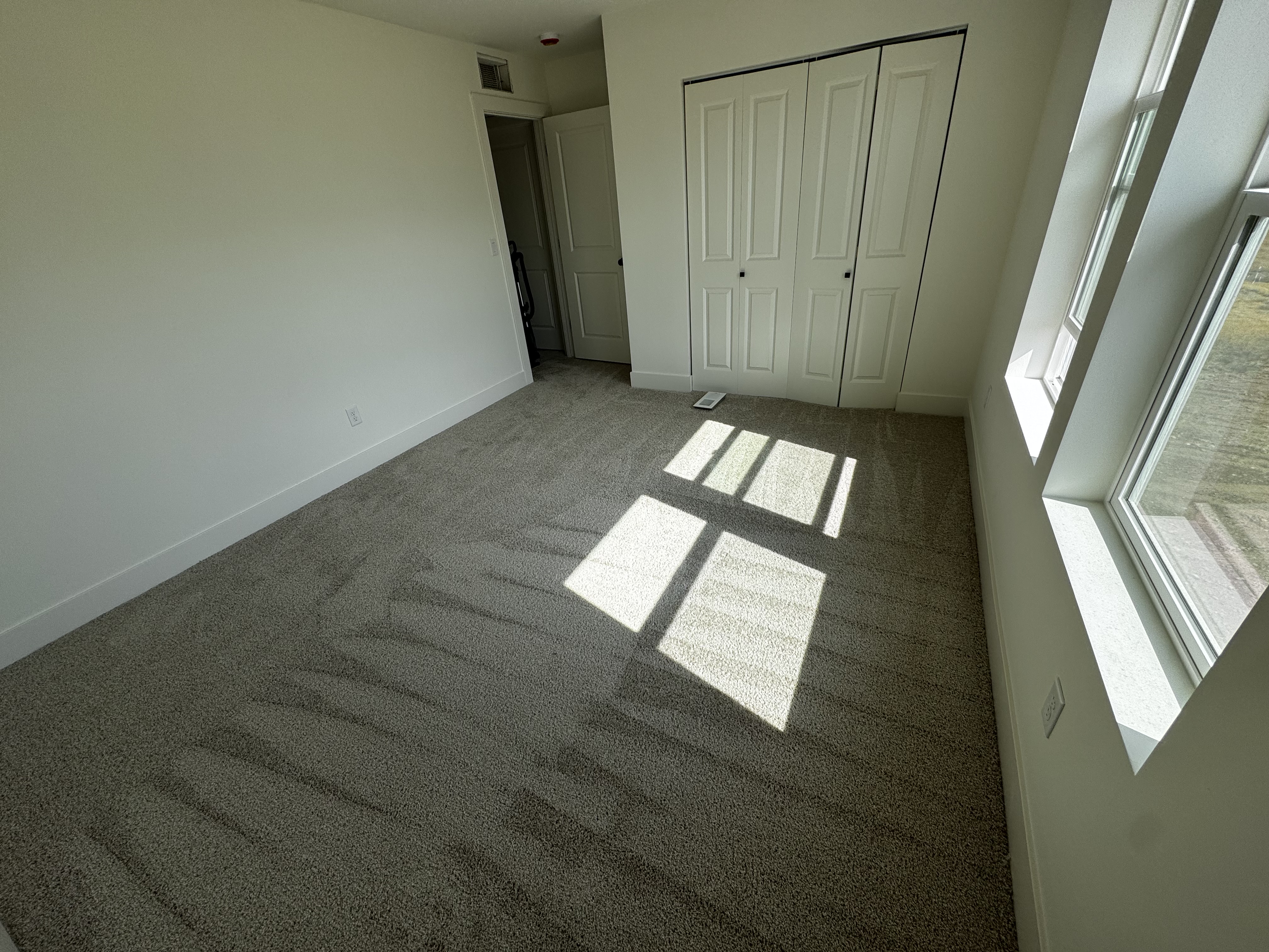 Carpet Cleaning